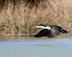 February 2016 - Slow Shutter Speed