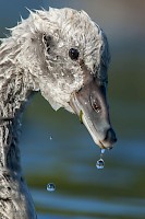 March 2016 - Natural History