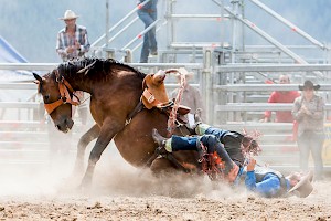 April 2016 - Kiwi Summer