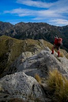 April 2016 - Kiwi Summer