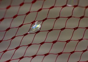 June 2016 - Repetition