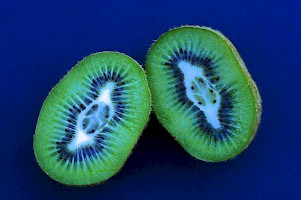 November 2016 - Still Life