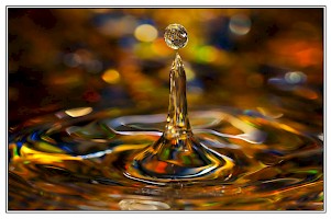 February 2017 - Water