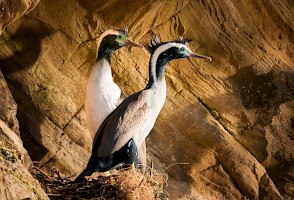 March 2017 - Natural History