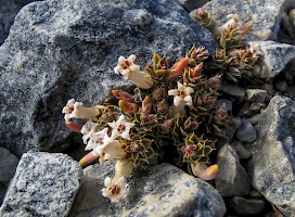 March 2017 - Natural History