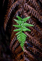 June 2017 New Beginnings