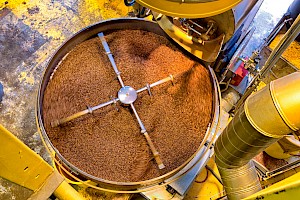 June 2017 New Beginnings