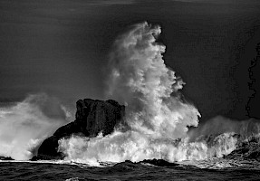 September 2017 - Freeze the Action