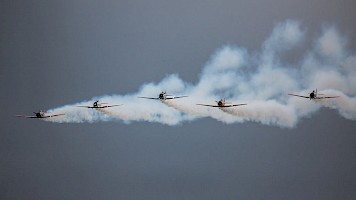 September 2017 - Freeze the Action