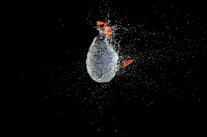 September 2017 - Freeze the Action