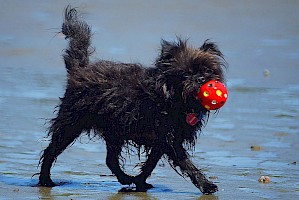 September 2017 - Freeze the Action