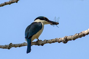 April 2018 Natural History