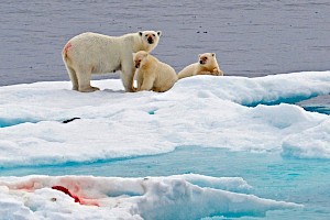 April 2018 Natural History