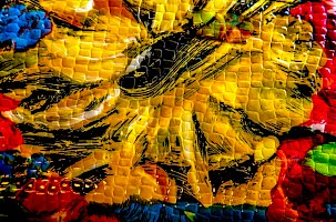 May 2018 - Vivid Colour