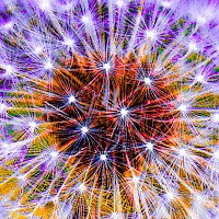 May 2018 - Vivid Colour