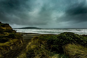 Shot of the Year 2018