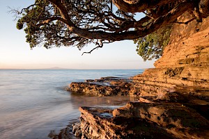 October 2018 - Landscape