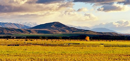 October 2018 - Landscape