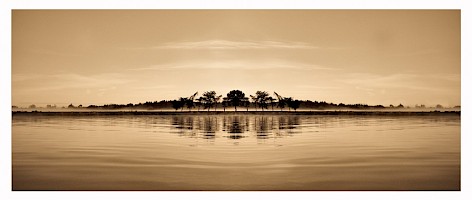 October 2018 - Landscape