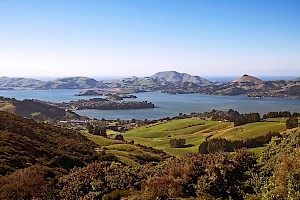 October 2018 - Landscape