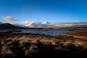 October 2018 - Landscape