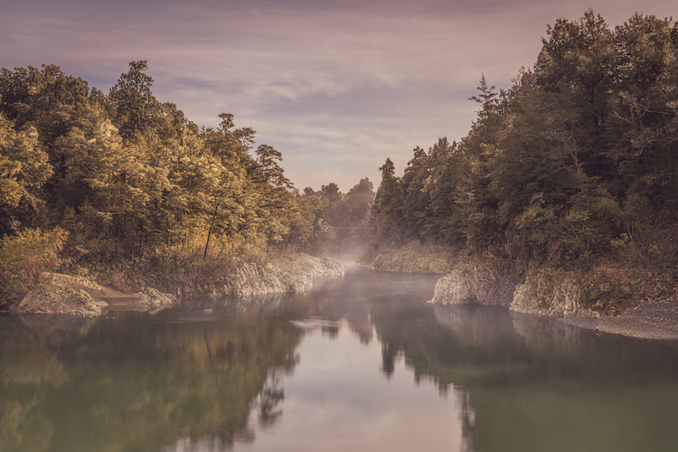 Misty Morning Pelorus