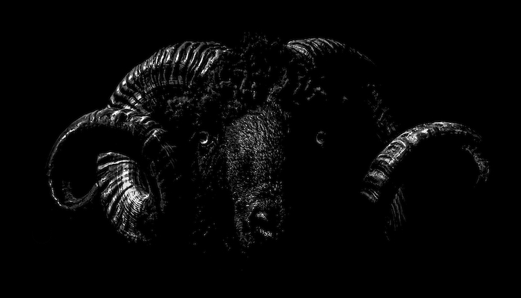 Back in Black . AC DC .