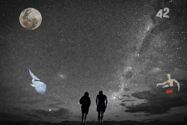 Hitchhiker's Guide to the Galaxy - Douglas Adams