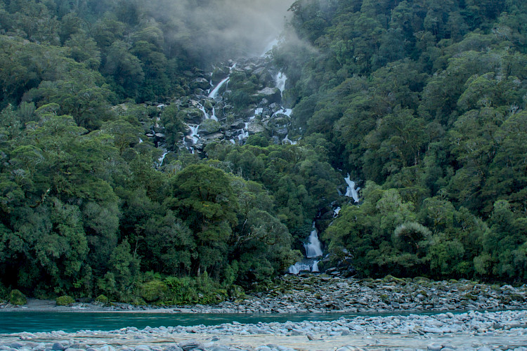 Fiordland