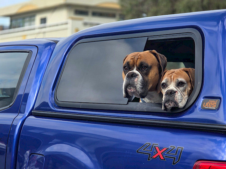 Double Parking